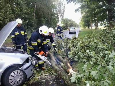 Łamiące się drzewo spadło na samochód