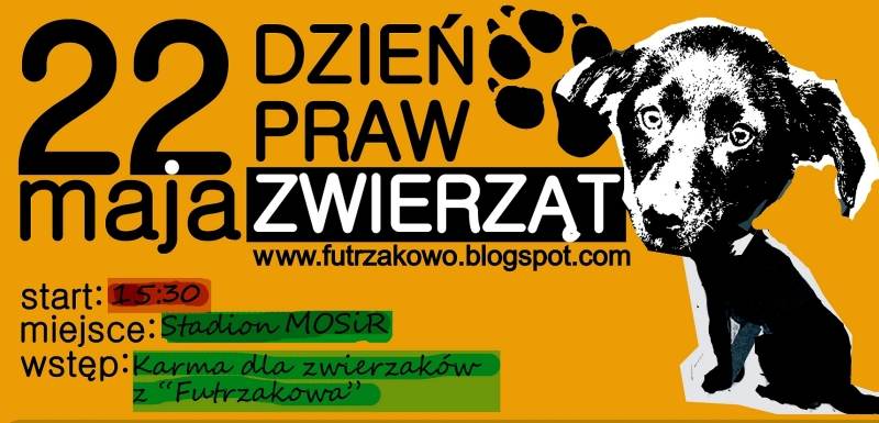 Dzień Zwierząt