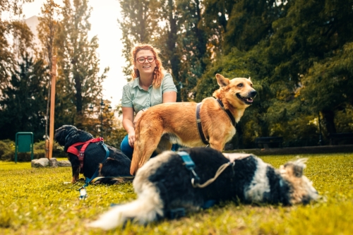Skąd się biorą lęki u psów i nietypowe zachowania kotów? Naucz się to rozumieć - zostań behawiorystą!