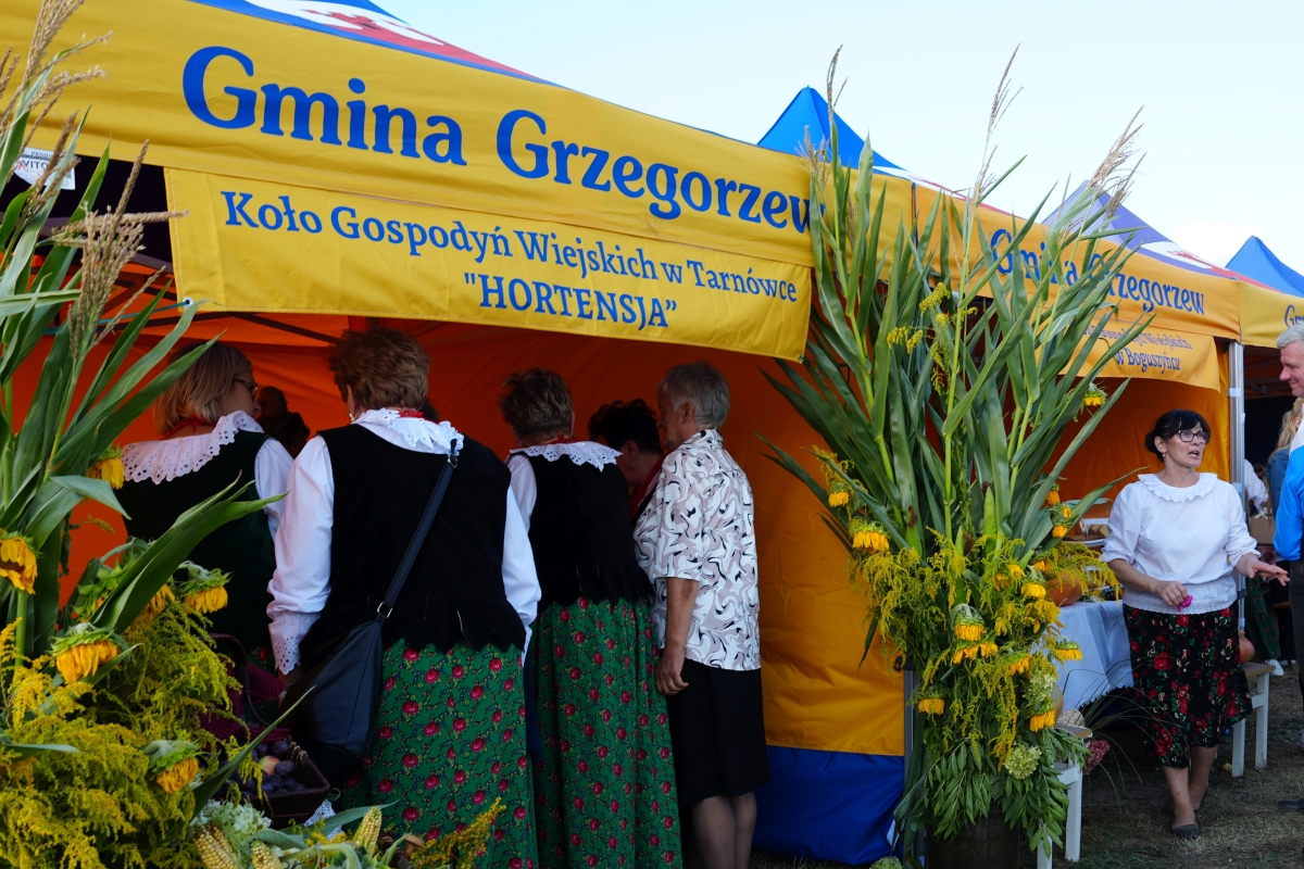 Dożynki Gminno-Parafialne w Bylicach. Podziękowanie za plony i wspólne świętowanie [FOTO]