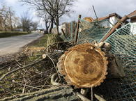 To nie koniec wichur nad Polską; zbliżają się kolejne groźne niże