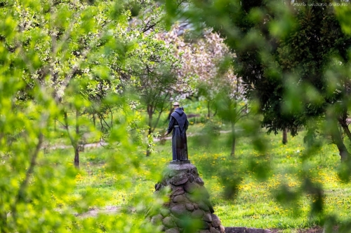 Ciekawe zdjęcia na grupie Koło w Obiektywie - ostatni tydzień [FOTO]