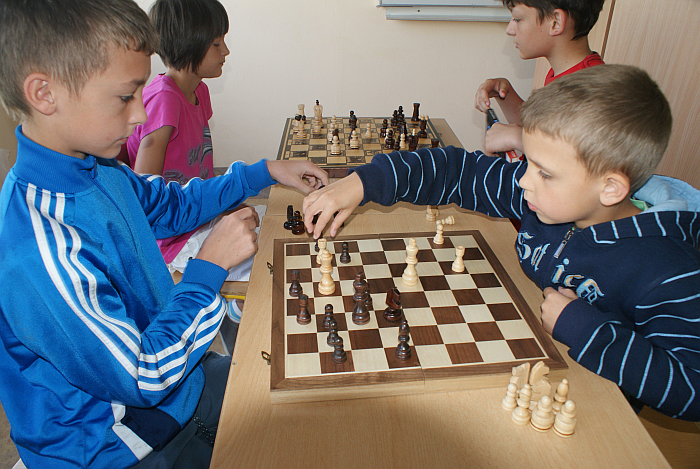 Festiwal szachowy