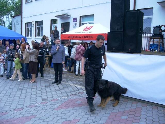 Policjanci na charytatywnym festynie