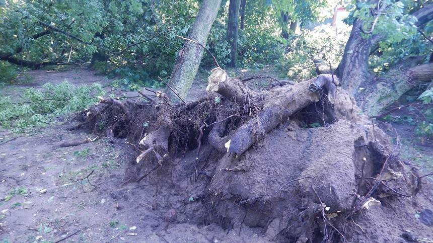 Pracowite popołudnie strażaków po gradobicu