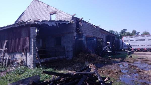 Pożar budynku gospodarczego w Kamieniu