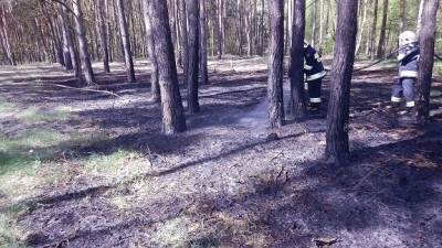 Pożar lasu w Ruszkowie