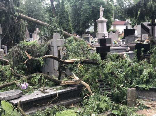 Mnóstwo zniszczeń na cmentarzu - obraz po burzy