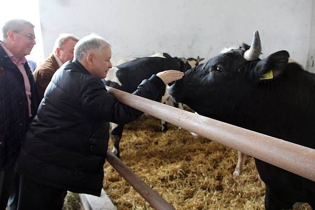 Jarosław Kaczyński w powiecie kolskim [FOTO]