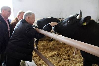 Jarosław Kaczyński w powiecie kolskim [FOTO]