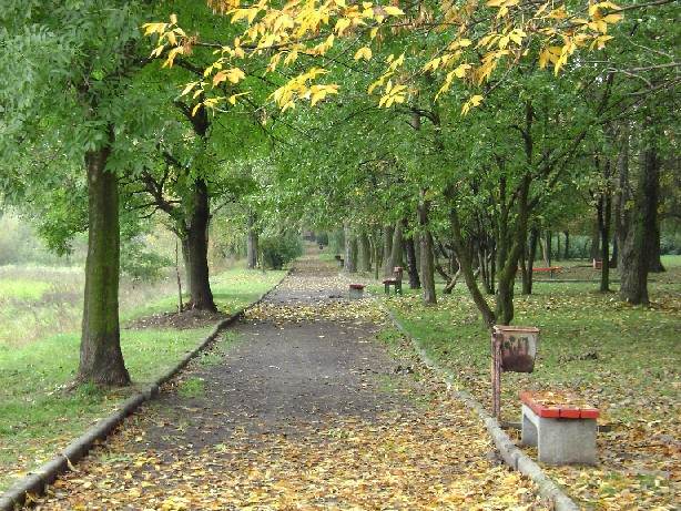 Jesień zawitała na całego - Park Miejski im. J. Słowackiego