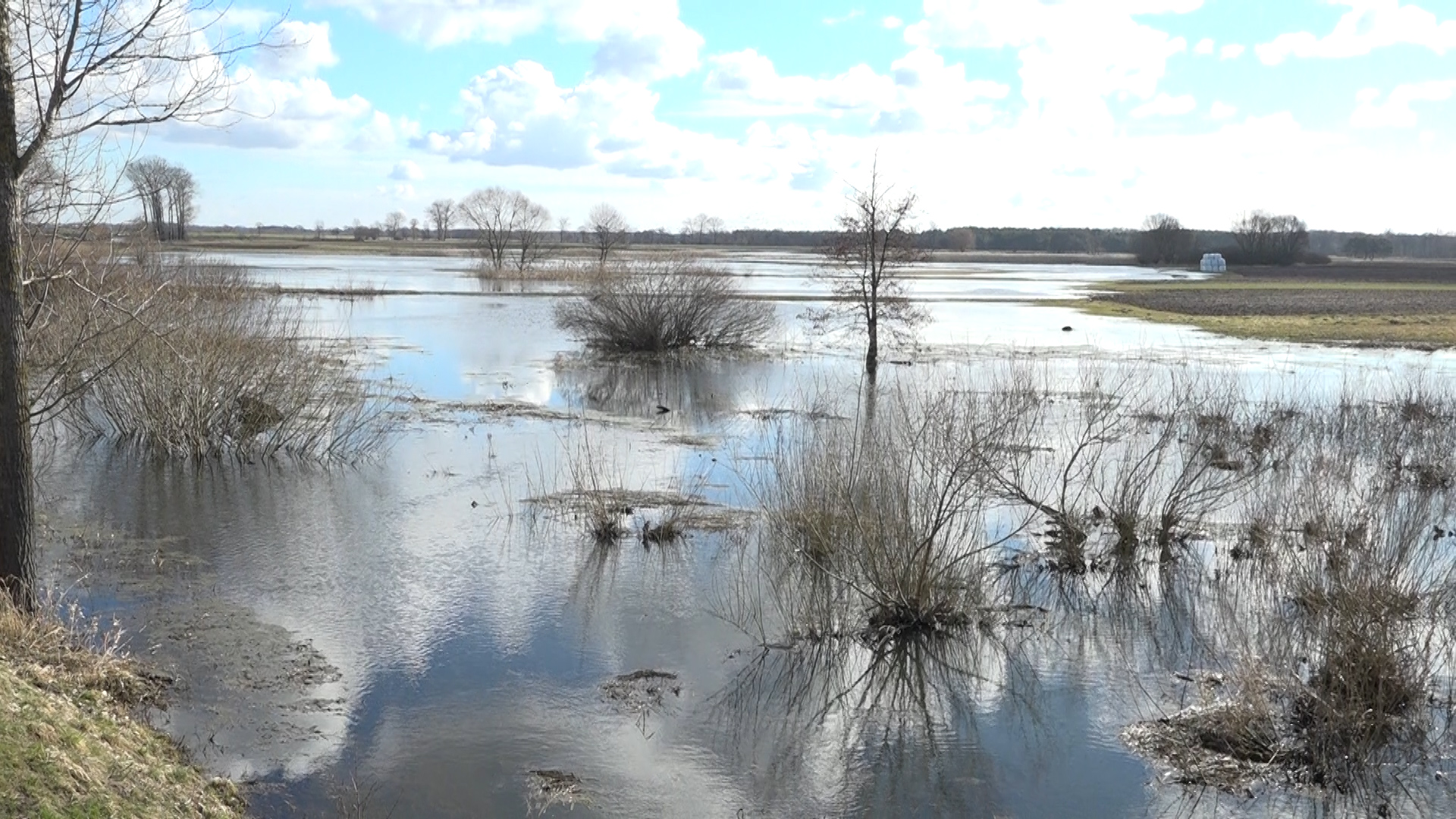 Kościelec - Będą prace utrzymaniowe na Kiełbasce.