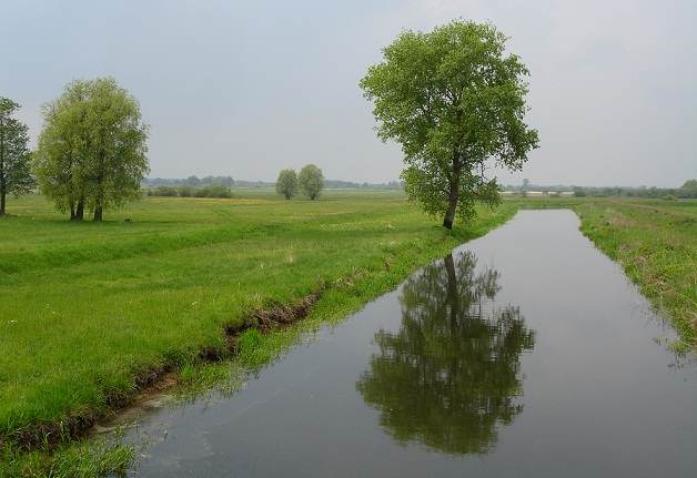 Miłe popołudnie - weź rower i jedź z nami!