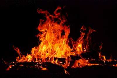 Płoną już nie tylko trawy - strażacy gasili las