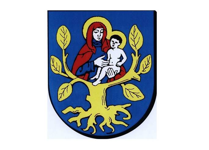Gmina Olszówka. Jeden kandydat