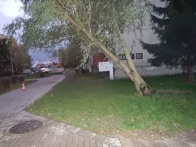 Orkan Grzegorz łamał drzewa w całym powiecie