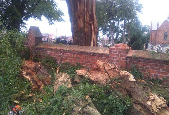 KOŚCIELEC: Powalone drzewo na cmentarzu parafialnym