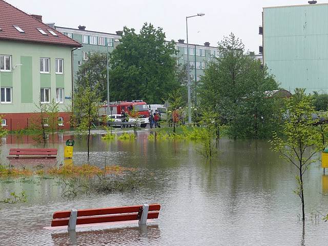 Poniedziałek w obiektywie 