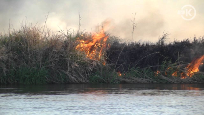 Pożar traw nad Wartą w Ruszkowie [VIDEO]