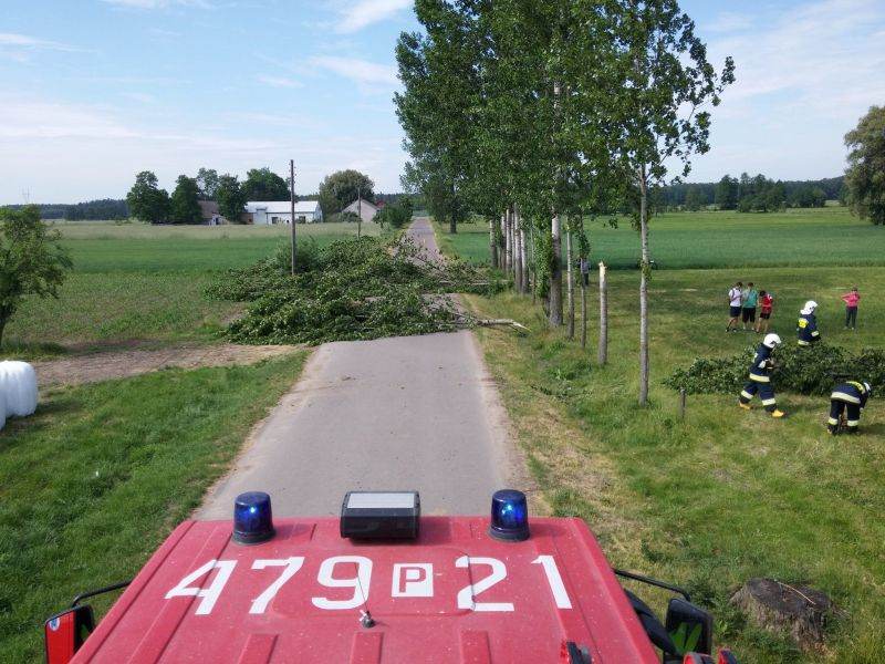 GRZEGORZEW: Drzewa uszkodziły linię energetyczną