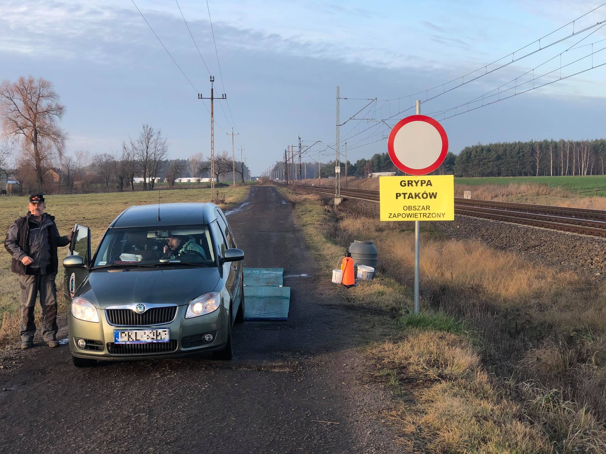 Trwa gazowanie gęsi w ognisku ptasiej grypy