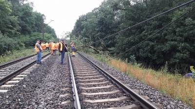 Przewrócony konar drzewa zerwał trakcję kolejową