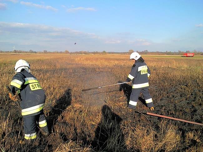 Pożar traw w Ruszkowie