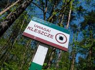 Kleszcze przenoszą groźne choroby, warto stosować profilaktykę