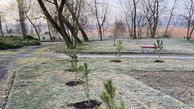 Wood-Mizer sadzi drzewka w kolskich parkach