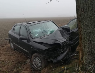 Pijany zjechał z drogi i uderzył w drzewo