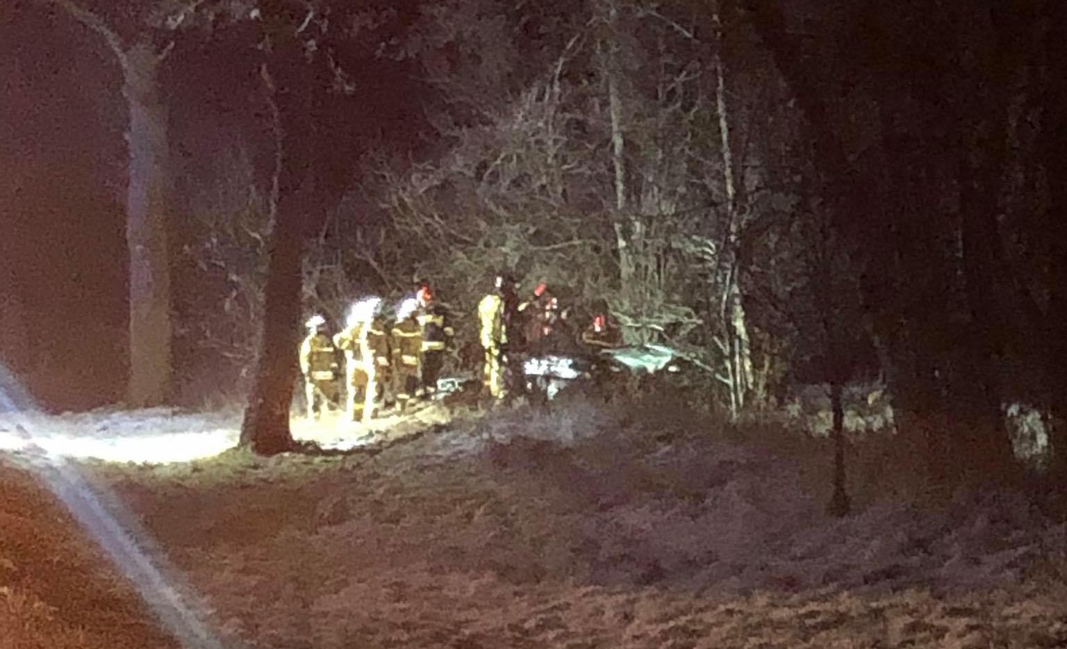 Tragedia na drodze! Zginął kierowca po uderzeniu w dzikie zwierzę