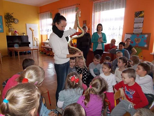 Goście z zoo odwiedzili przedszkolaków