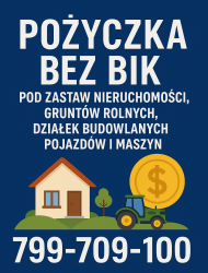 Pożyczka bez BIK pod zabezpieczenie 