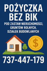 Pożyczka bez BIK