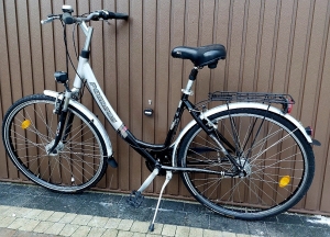 Damki miejskie rowery 