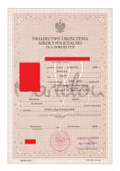Dyplom studia, liceum, technikum, matura + pe