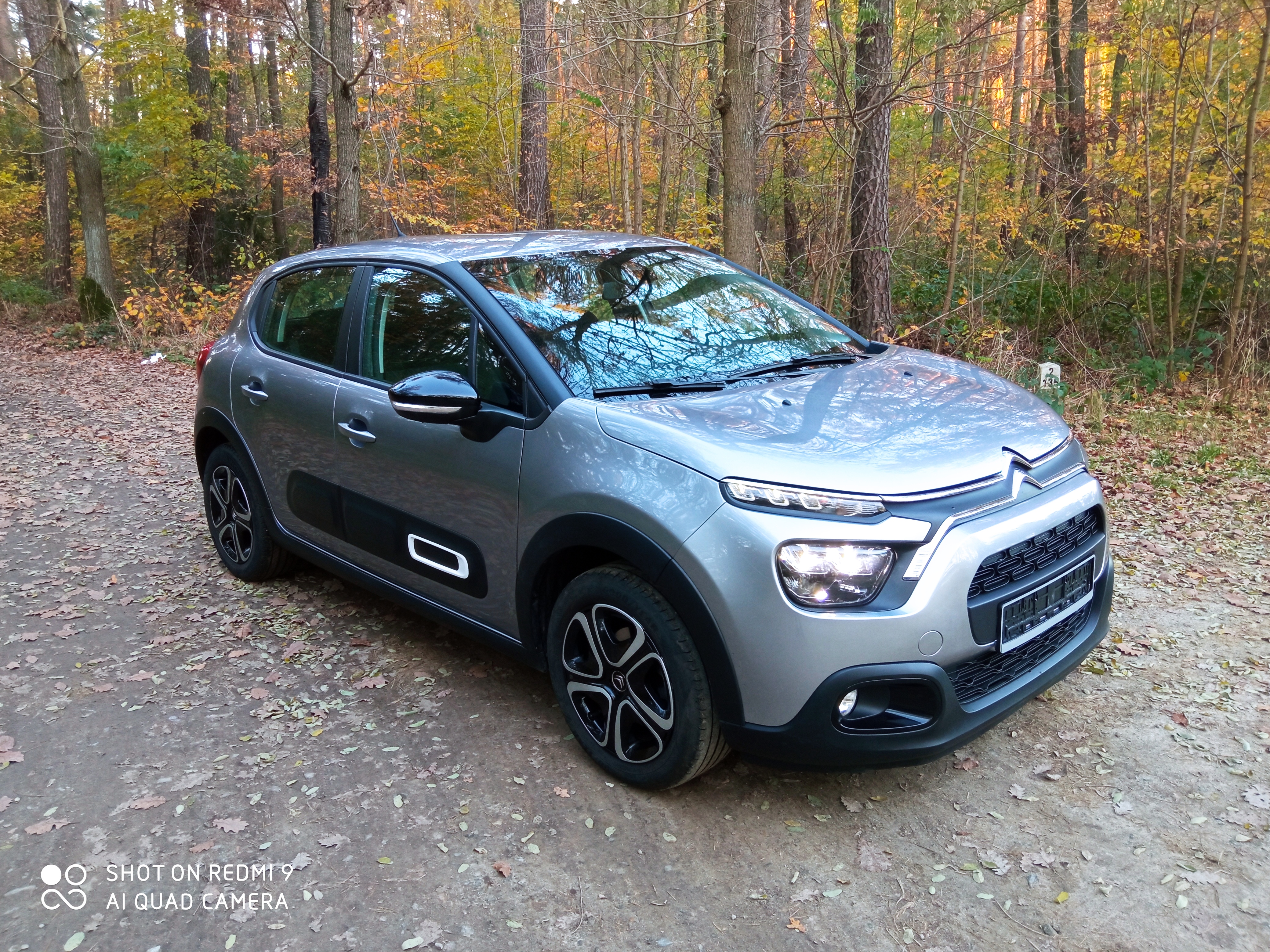 zdjecie do ogloszenia 39942