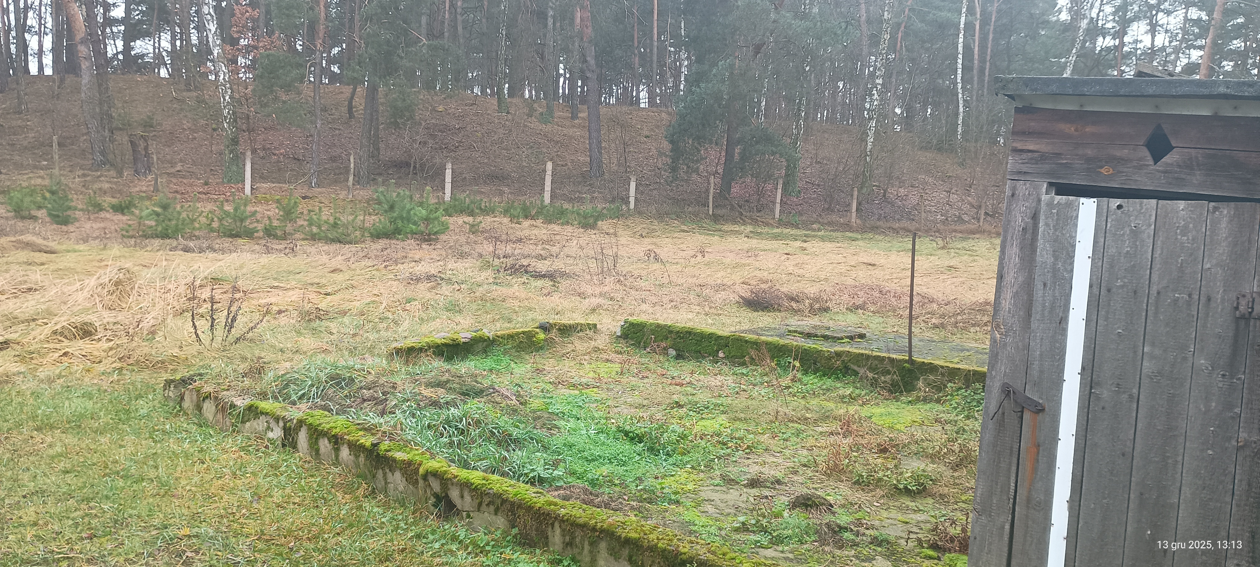 zdjecie do ogloszenia 40005