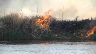 Pożar traw przy rzece Warcie na wysokości Ruszkowa 